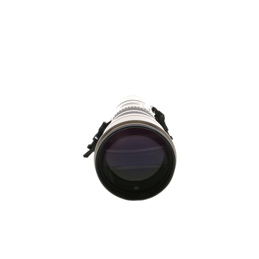 Canon 500mm f/4.5 L USM EF-Mount Lens | Gel