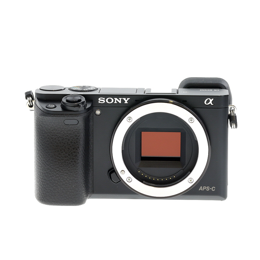 Sony a6000 Mirrorless Camera Body, Black | 24.3MP | Infrared (IR) Color Converted
