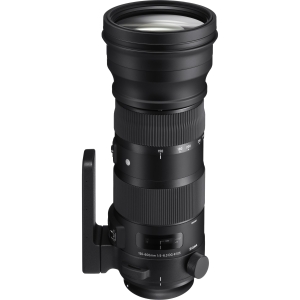 Sigma 150-600mm f/5-6.3 DG OS (HSM) S (Sport) Full-Frame Lens for Canon EF-Mount | 105 | w/ Tripod Collar/Foot