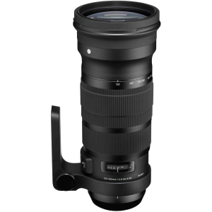 Sigma 120-300mm f/2.8 DG OS (HSM) S (Sport) Full-Frame Lens for Canon EF-Mount | 105 | with Tripod Collar/Foot