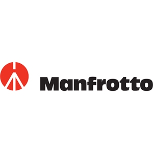 Bogen/Manfrotto 3130 Micro Fluid Tripod Head, Black